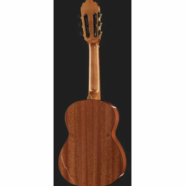Gewa Pro Arte GC-25 A