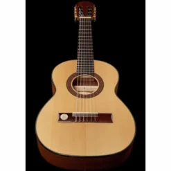 Gewa Pro Arte GC-25 A