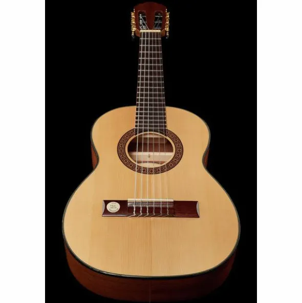 Gewa Pro Arte GC-25 A