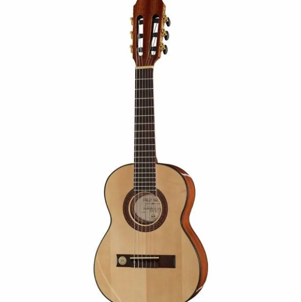 Gewa Pro Arte GC-25 A
