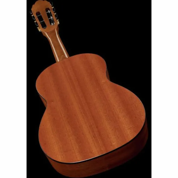 Gewa Pro Arte GC-25 A