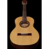 Gewa Pro Arte GC75A