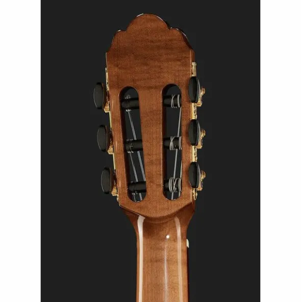 Gewa Pro Arte GC75A