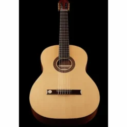 Gewa Pro Arte GC130A
