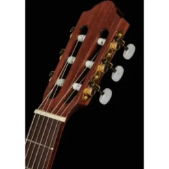 Gewa Pro Arte GC-Antique