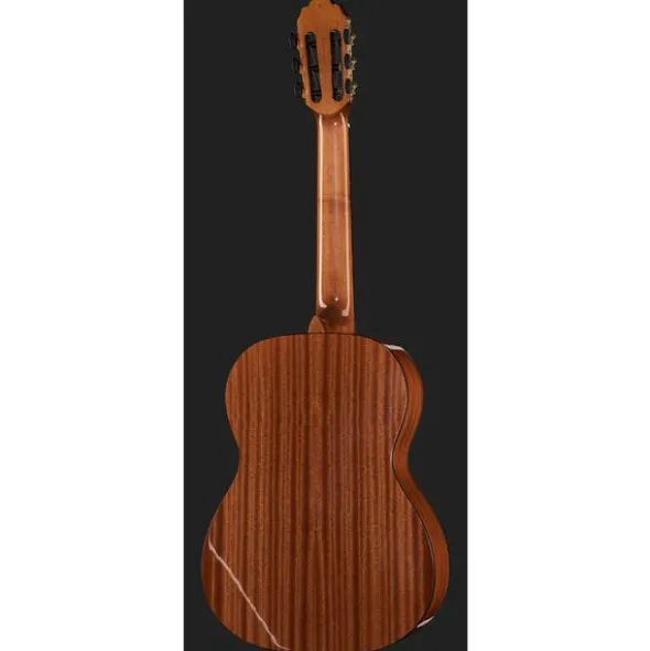 Gewa Pro Arte GC100A w/Bag
