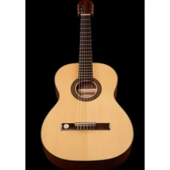 Gewa Pro Arte GC100A w/Bag