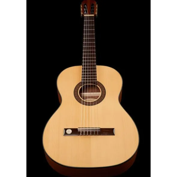 Gewa Pro Arte GC100A w/Bag