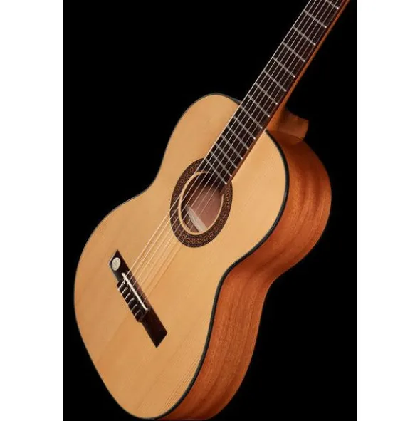 Gewa Pro Arte GC100A w/Bag