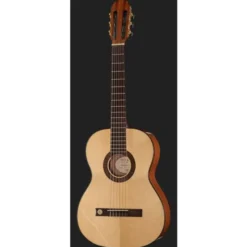 Gewa Pro Arte GC100A w/Bag