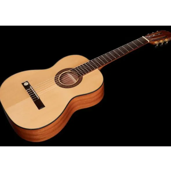 Gewa Pro Arte GC100A w/Bag