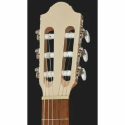 Gewa Pro Natura Silver 7/8 Maple