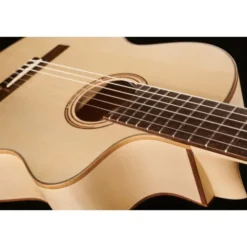 Gewa Pro Natura Silver Samba