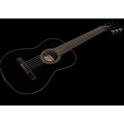 Gewa Student Black 1/2