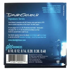 GHS David Gilmour String Set F