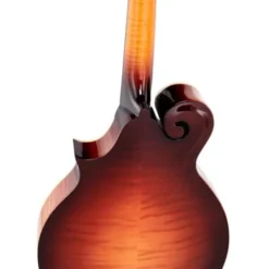 Gibson Custom F-5G Dark Burst