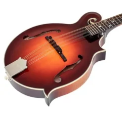 Gibson Custom F-5G Dark Burst