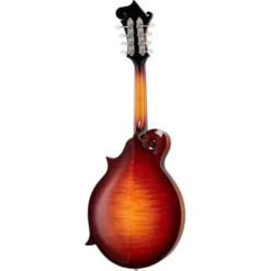 Gibson Custom F-5G Dark Burst