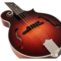 Gibson Custom F-5G Dark Burst