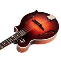 Gibson Custom F-5G Dark Burst