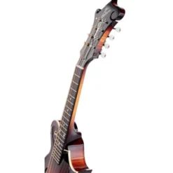 Gibson Custom F-5G Dark Burst