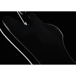 Gibson Firebird Custom EB GH