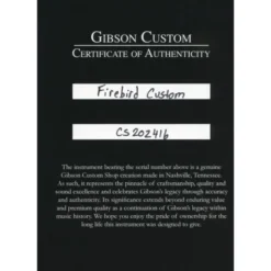 Gibson Firebird Custom EB GH