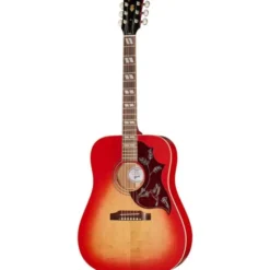 Gibson Hummingbird Special SVS