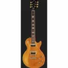 Gibson Les Paul Slash Standard AppBur