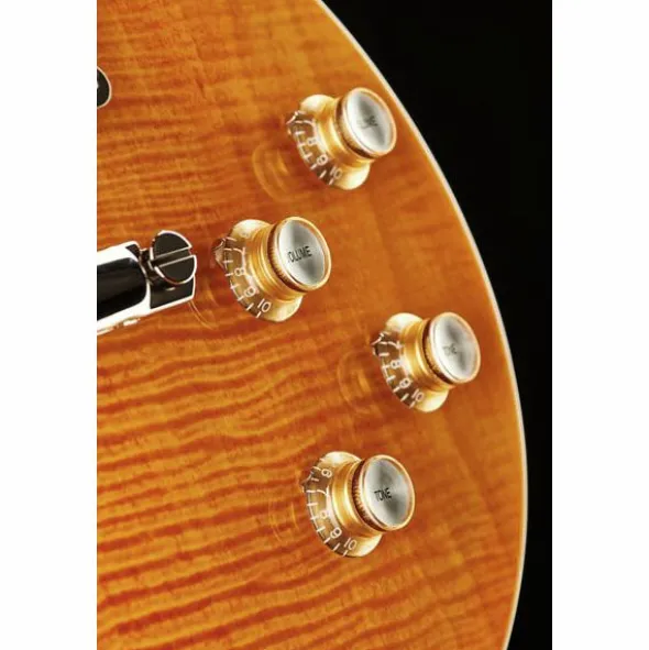 Gibson Les Paul Slash Standard AppBur