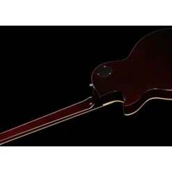Gibson Les Paul Slash Standard GT