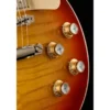 Gibson Les Paul Standard 60s AAA HCS