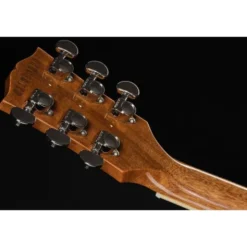 Gibson Les Paul Standard 60s DT VBB
