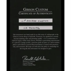 Gibson LP Axcess Custom FR EB