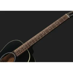 Gibson L-00 Special Satin Ebony
