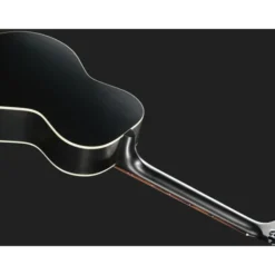 Gibson L-00 Special Satin Ebony