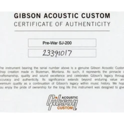 Gibson Pre-War SJ-200 RW VS