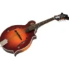 Gibson Sierra Hull F-5G VOS SB