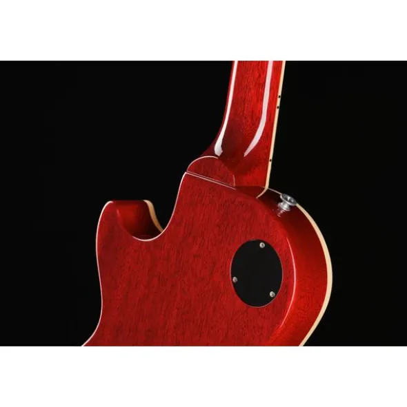 Gibson Warren Haynes Les Paul Std