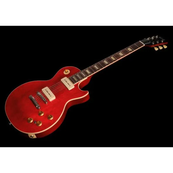 Gibson Warren Haynes Les Paul Std