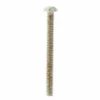 Göldo Humbucker Screw N