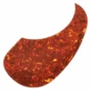 Göldo PG1S Pickguard Acoustic TT