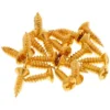 Göldo Pickguard Screws GD