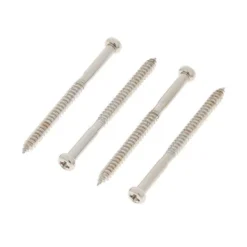 Göldo Screws for Bass Pickups SC