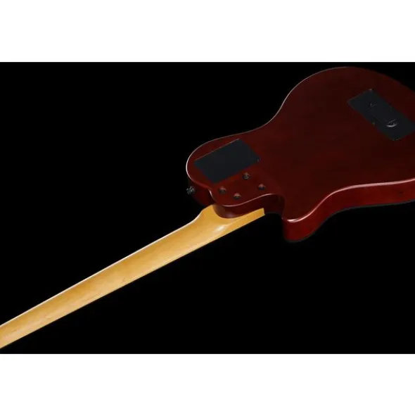 Godin A5 Bass Ultra Fretless Natural