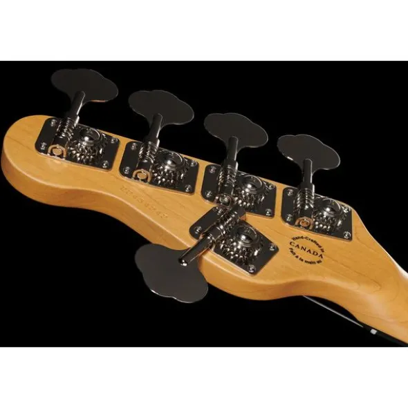 Godin A5 Bass Ultra Fretless Natural