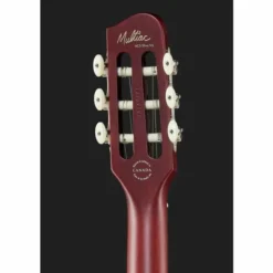 Godin ACS Nylon Slim NT Cedar