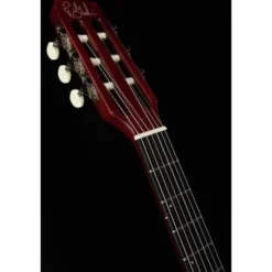 Godin ACS Nylon Slim NT Cedar