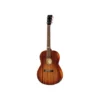 Godin Folk LTD Mahogany A/EB-Stock