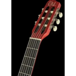 Godin Multiac Grand Concert Deluxe